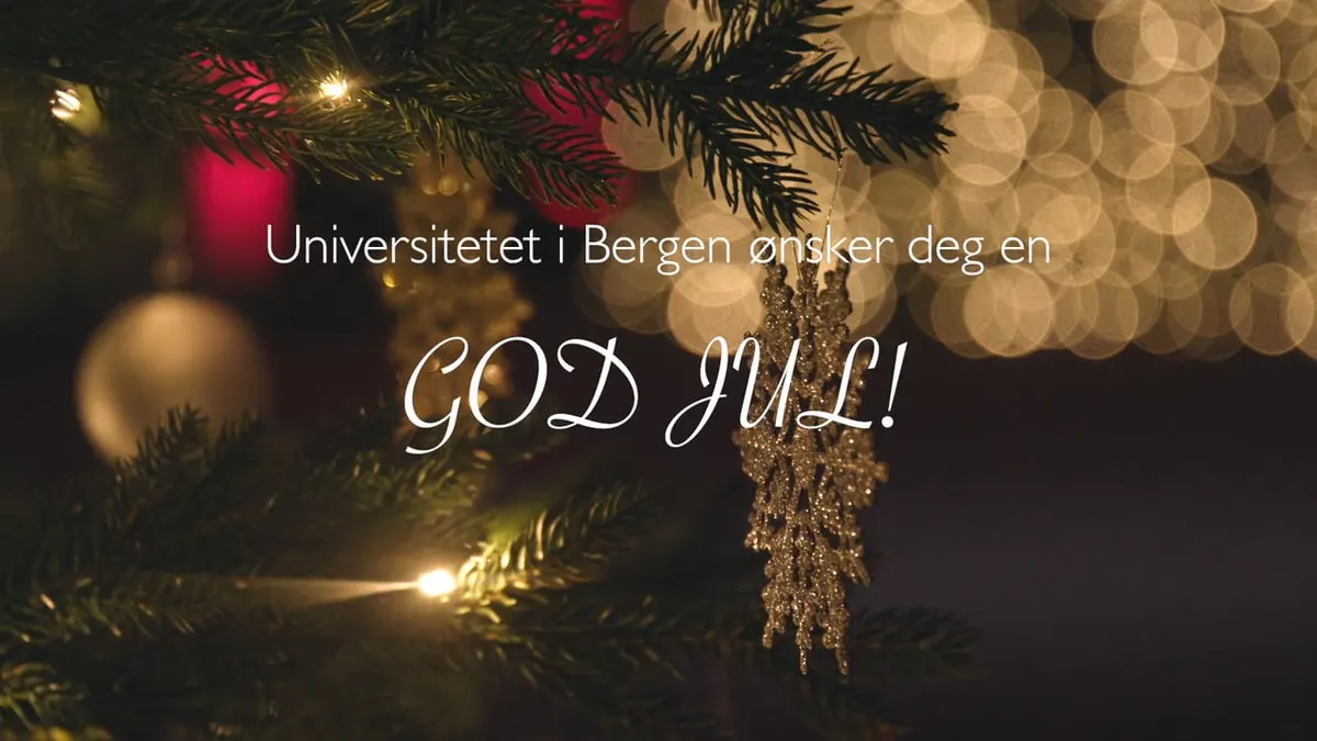 Christmas tree with baubles and the text «Universitetet i Bergen ønsker deg en god jul!»